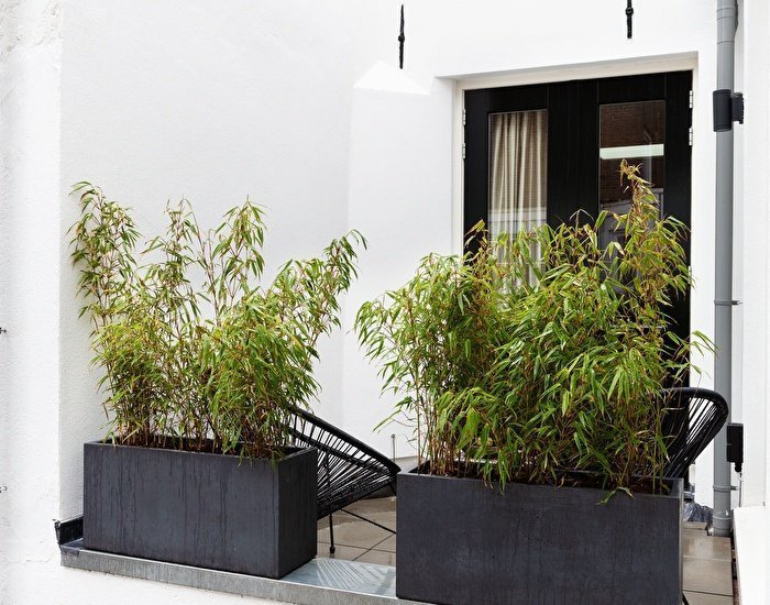 Finest Apartments Grote Hout - C | Appartement met terras