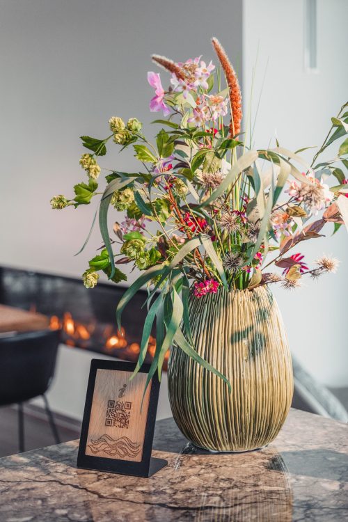 Bloem - Alys Fines Accommodations
